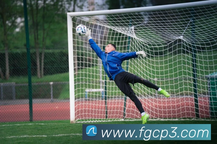 体育赛事直播